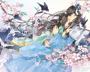 蘑菇云官网